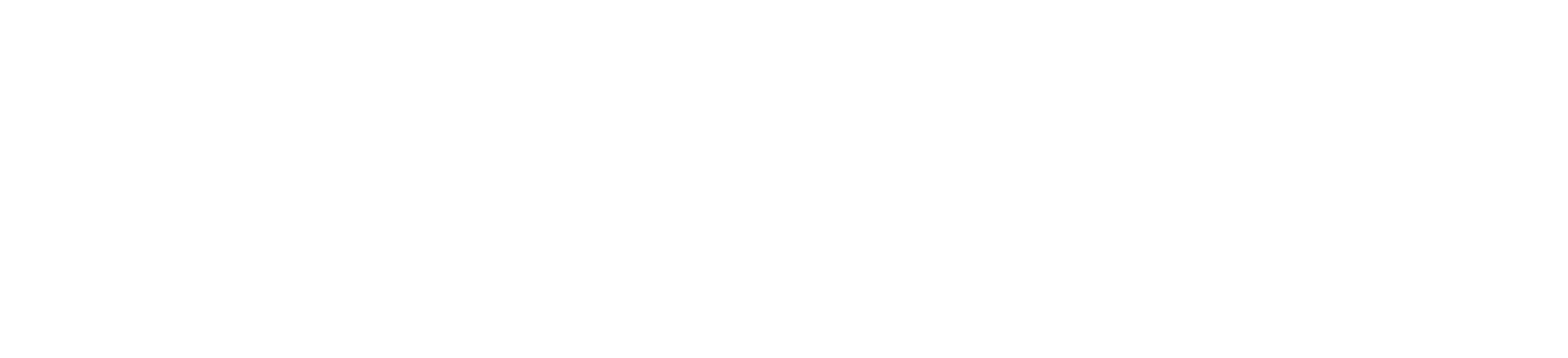 Focus + Scale Co.